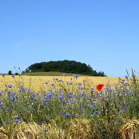 hafennahe Ferienwohnung mit Balkon und Meerblick - Hafenhäuser Wiek Wohnung 05 *